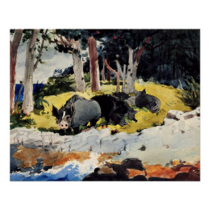 Bermuda Siedlers, ein Gemälde von Winslow Homer, Poster