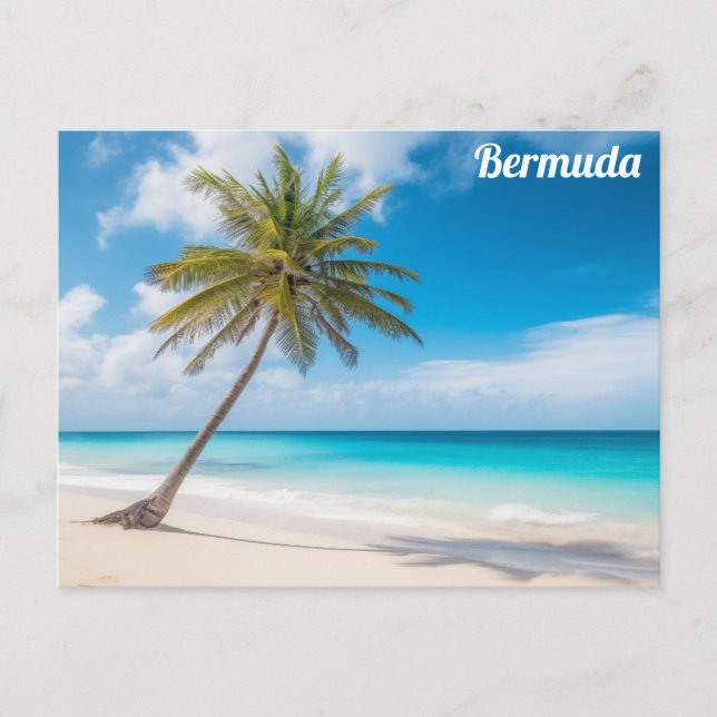 Bermuda Tropical Beach Ocean Palm Tree Reisen Postkarte (Vorderseite)