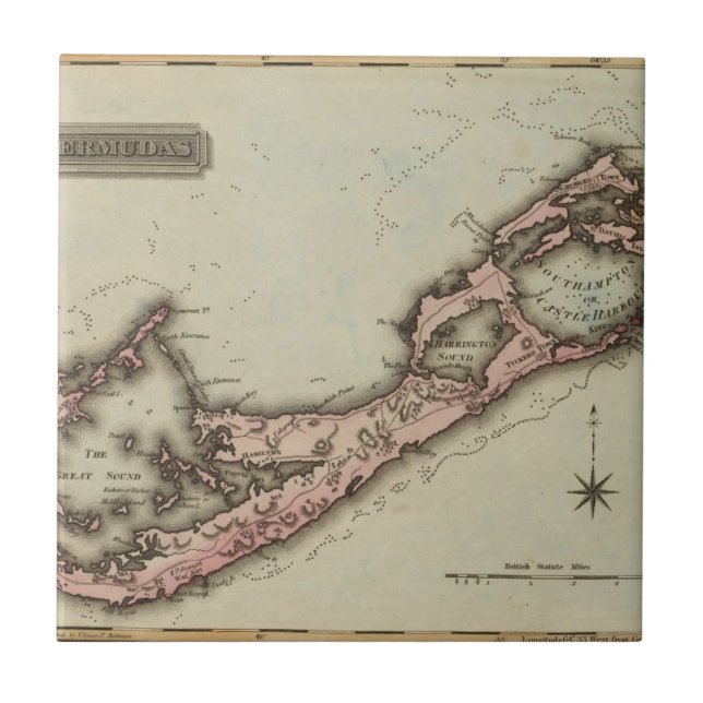 Bermudas Fliese (Vorderseite)