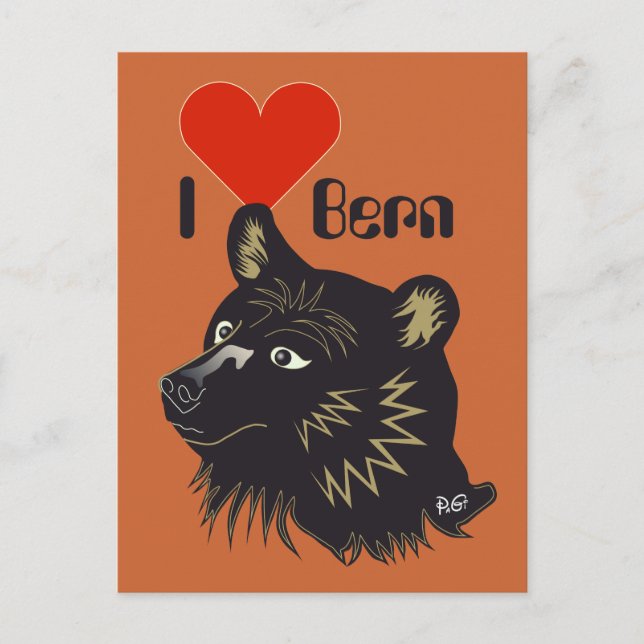 Bern Bern Berna Bärn Schweiz Suisse Postkarte (Vorderseite)