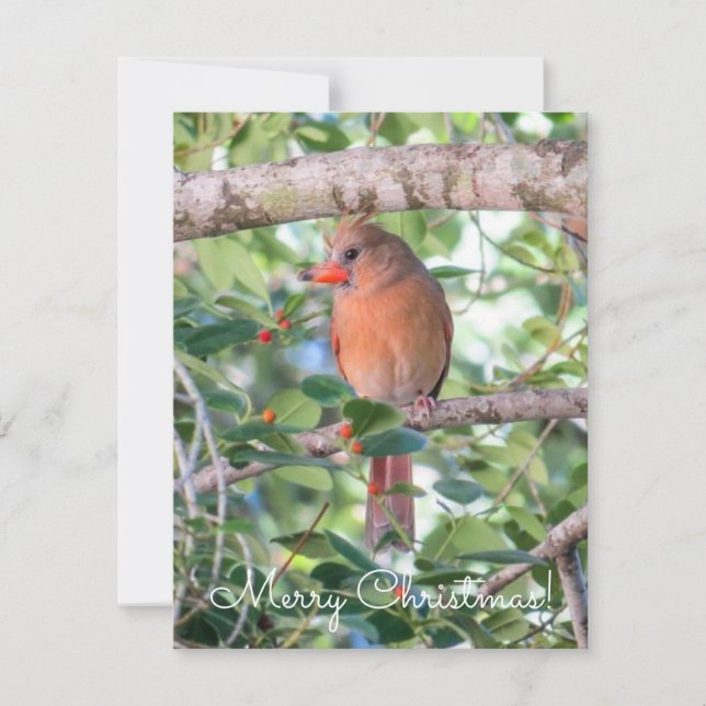 Bernadette Christmas Feiertagskarte (Vorderseite)