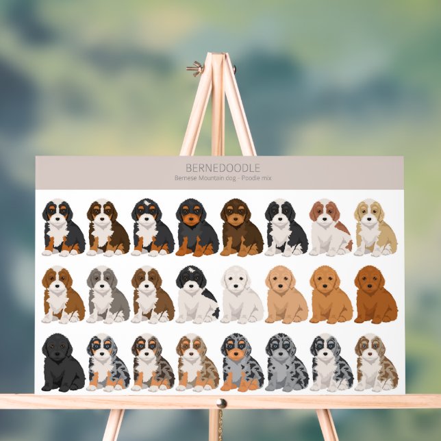 Bernedoodle Acrylzeichen Acrylschild (Neutral)