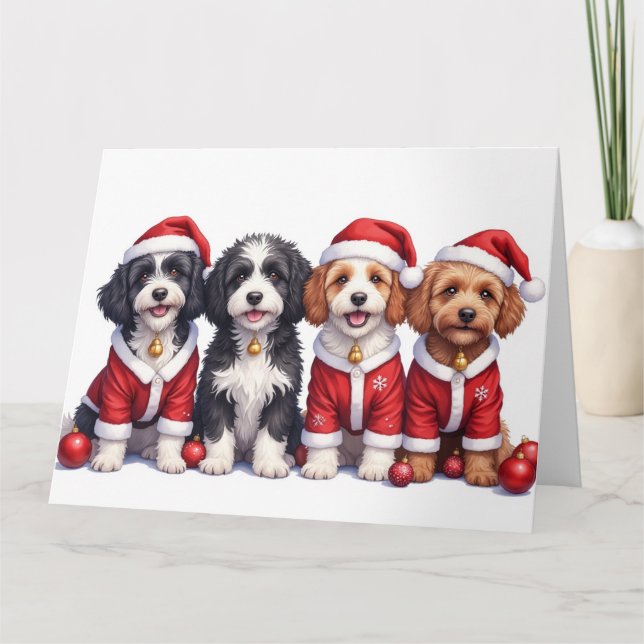Bernedoodle Christmas Dress Santa Hat Karte (Vorderseite)