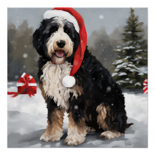 Bernedoodle Dog in Schnee Weihnachten Poster