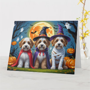 Bernedoodle Dogs Pumpkin Halloween Funny Karte