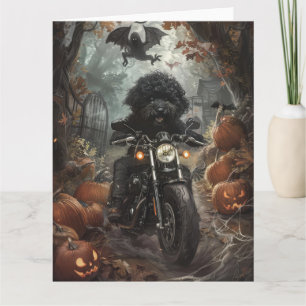 Bernedoodle fährt Motorrad Halloween Gruselig Karte
