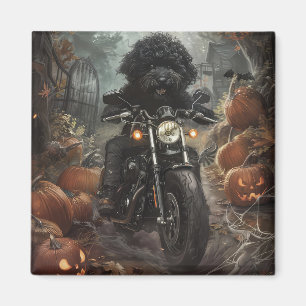 Bernedoodle fährt Motorrad Halloween Gruselig Magnet