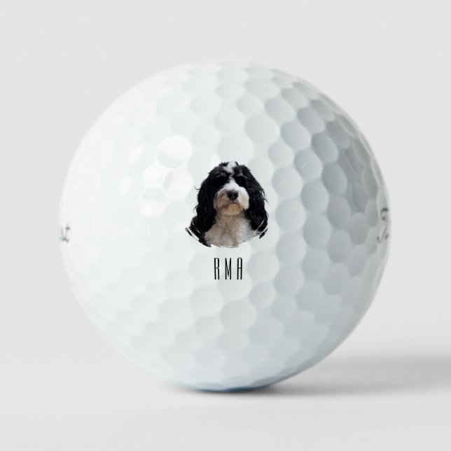 Bernedoodle Golfball (Vorderseite)