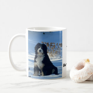 Bernedoodle Hund auf schneebedeckter Tasse