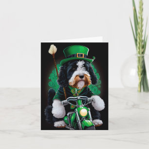 Bernedoodle Hund Fahrrad St. Patrick's Day Karte