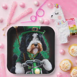 Bernedoodle Hund fährt Fahrrad am St. Patricks Tag Pappteller