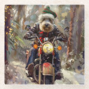 Bernedoodle Hund fährt Motorrad Weihnachten Glasuntersetzer