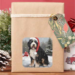 Bernedoodle-Hund im Schnee Weihnachten  Quadratischer Aufkleber