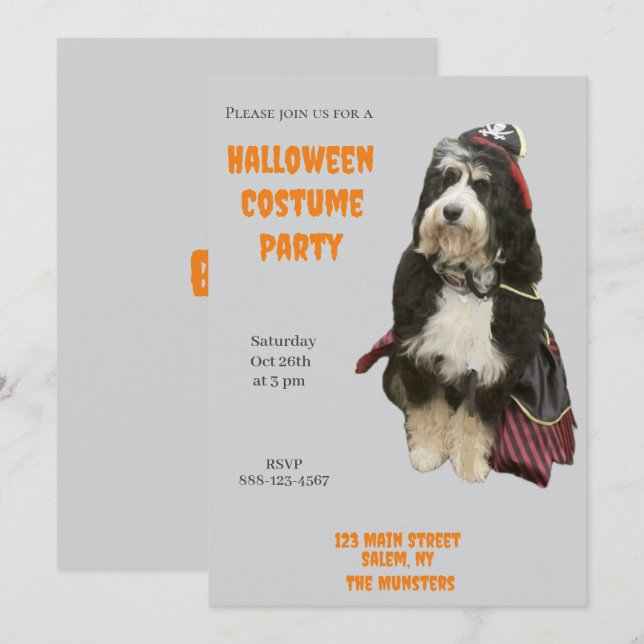 Bernedoodle Hund in Pirate Halloween Kostüm Party Einladung (Vorne/Hinten)