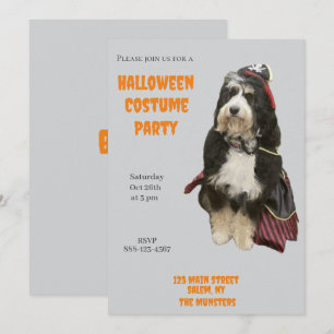 Bernedoodle Hund in Pirate Halloween Kostüm Party Einladung