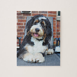 Bernedoodle-Puzzle Puzzle