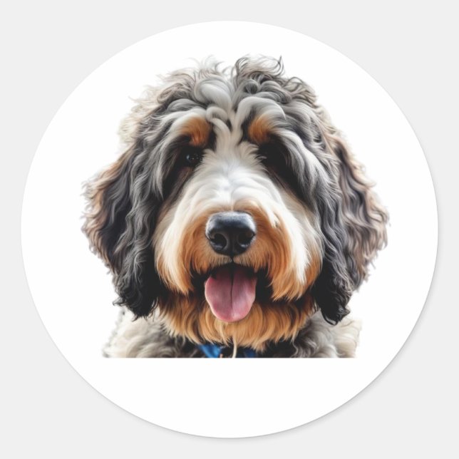 Bernedoodle-Sticker Runder Aufkleber (Vorderseite)