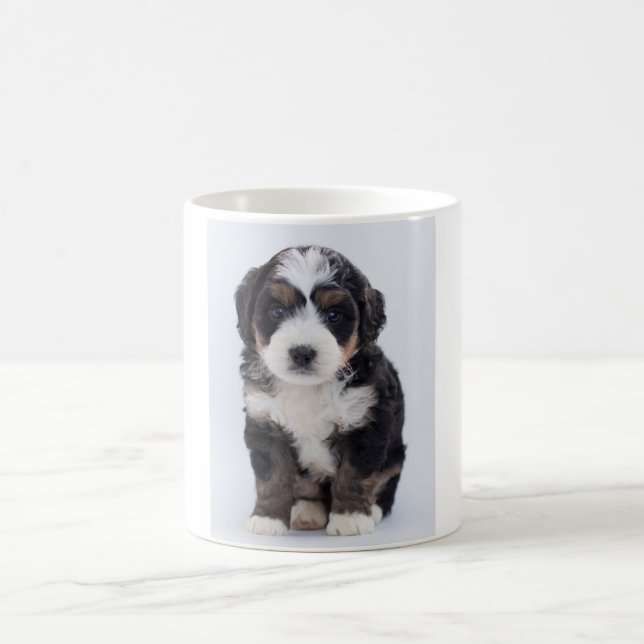 Bernedoodle Tasse (Mittel)
