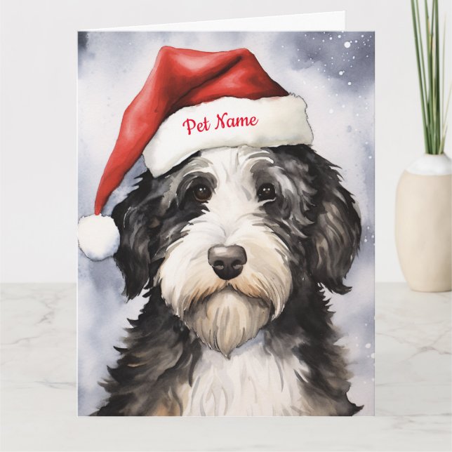 Bernedoodle Weihnachten Personalisiert Karte (Vorderseite)
