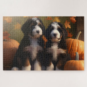Bernedoodle-Welpe Herbstfreude Kürbis Puzzle