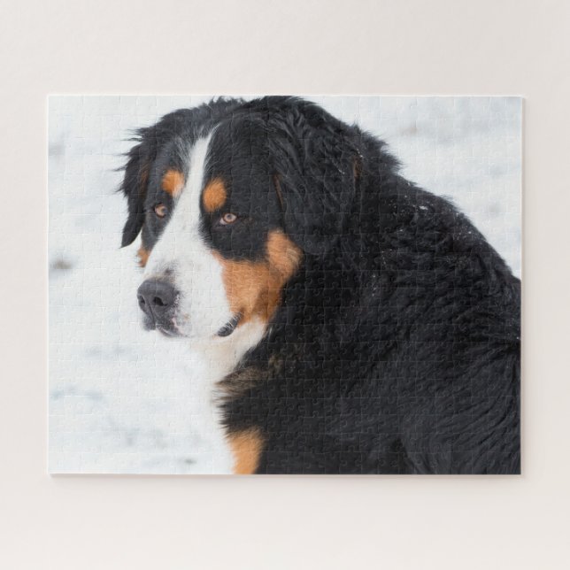 Berner Berghund im Schnee Puzzle (Horizontal)