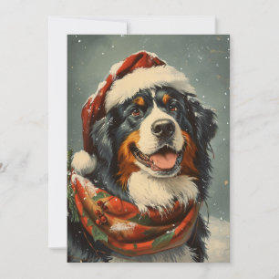 Berner Berghund Weihnachten