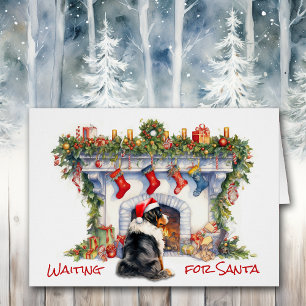 Berner Dog warten auf Weihnachts-Feuerplatz