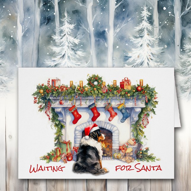 Berner Dog warten auf Weihnachts-Feuerplatz (Von Creator hochgeladen)