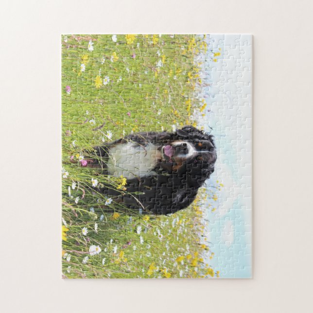 Berner Hund auf dem Feld Puzzle (Vertikal)