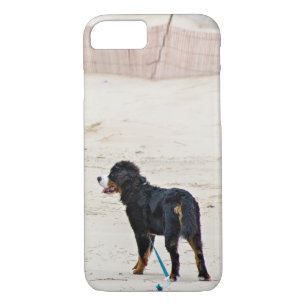 Berner Hund auf Sand Case-Mate iPhone Hülle