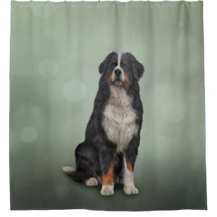 Berner Hund Duschvorhang