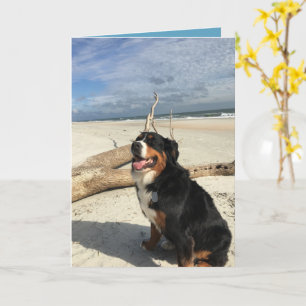 Berner Hund individuell anpassbar Karte