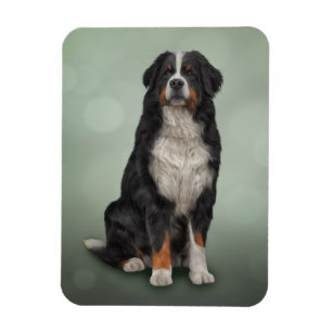 Berner Hund Magnet