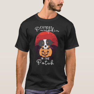 Berner Hund Niedlicher Kürbis T-Shirt