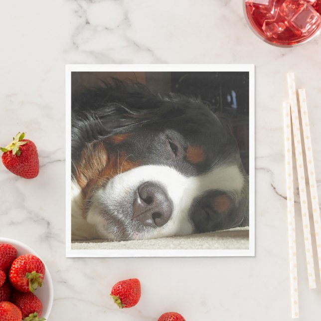 Berner Hund schlafend Serviette (Beispiel)