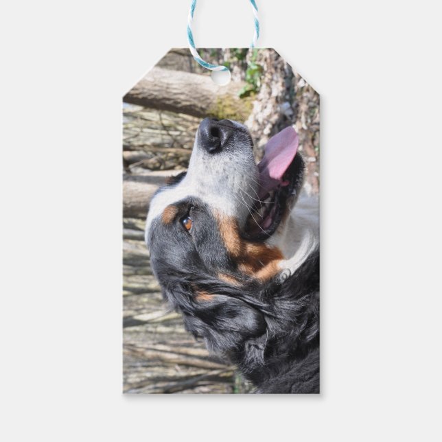 Berner Hund Vierter Geschenkanhänger (Vorderseite)
