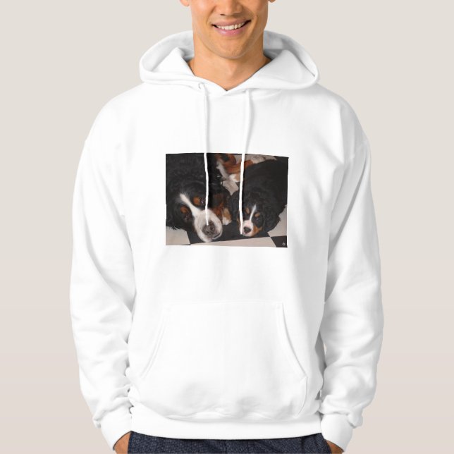 Berner Hunde Kopf zum Kopf Herrenhoodie Hoodie (Vorderseite)