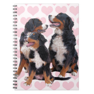 Berner Hunde mit rosa Herzen Notizblock