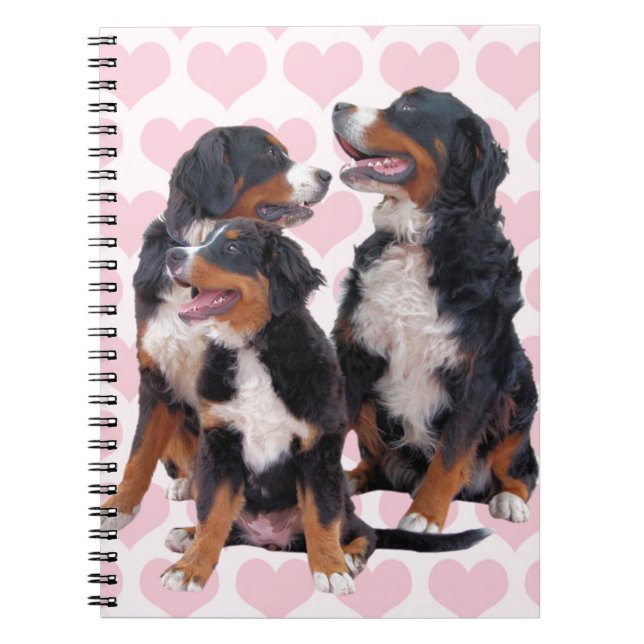 Berner Hunde mit rosa Herzen Notizblock (Vorderseite)