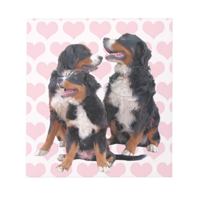 Berner Hunde mit rosa Herzen Notizblock (Vorderseite)