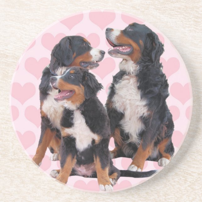 Berner Hunde mit rosa Herzen Sandstein Untersetzer (Vorne)
