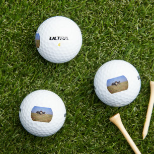 Berner Hundegruppe zweite Golfball