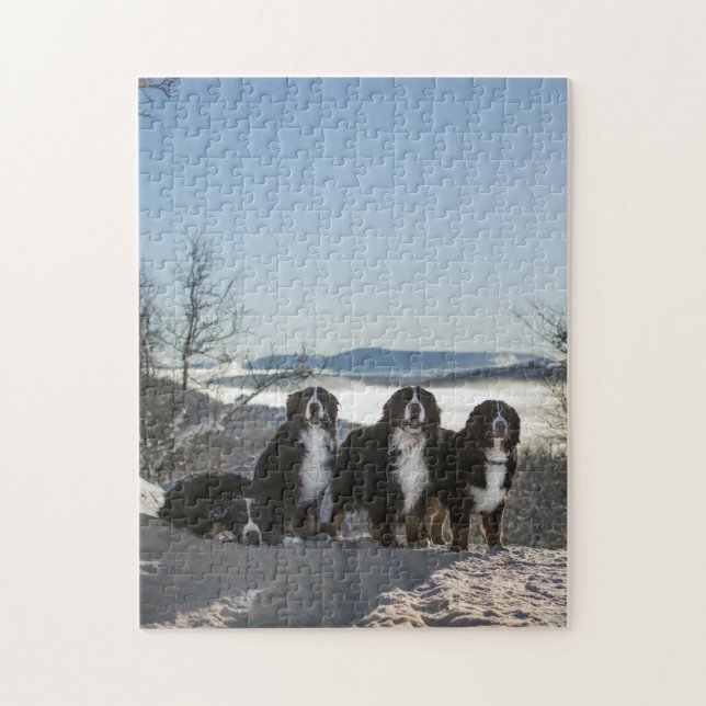 Berner Hundengruppe Puzzle (Vertikal)
