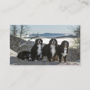 Berner Hundengruppe Visitenkarte