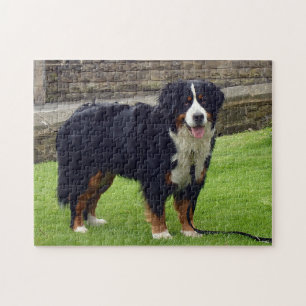 Berner Hundepuzzle Puzzle