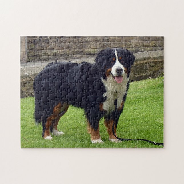 Berner Hundepuzzle Puzzle (Horizontal)