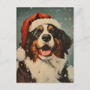 Berner Hundeschlitten Postkarte