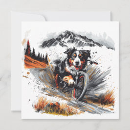 Berner Hundetour im Gebirge