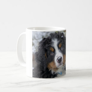 Berner Hundewelpe Kaffeetasse