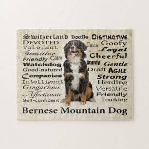 Berner Merkmal-Puzzlespiel Puzzle